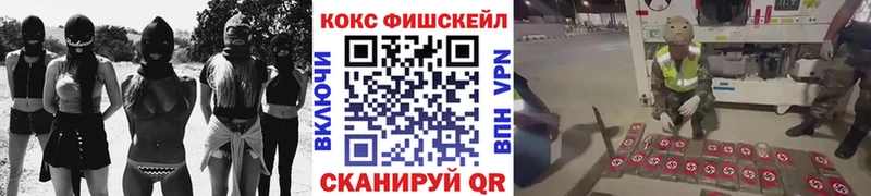 COCAIN Fish Scale  Колпашево 