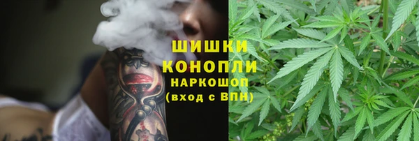 мдпв Нязепетровск