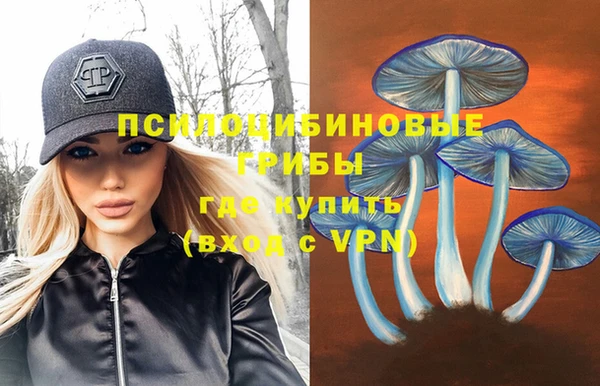 меф Няндома