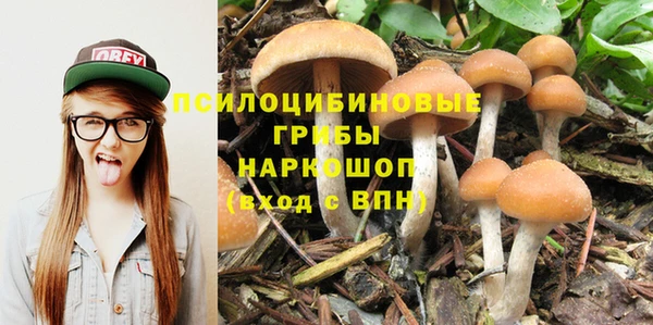 мдпв Нягань