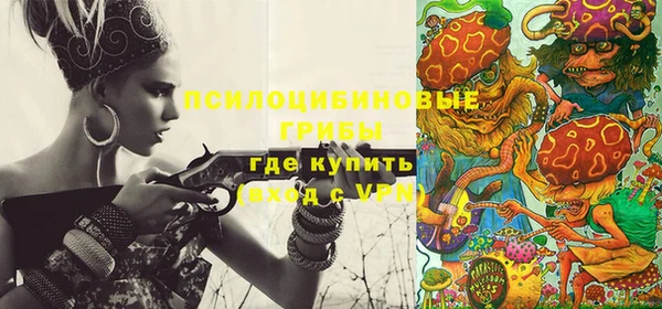 меф Няндома