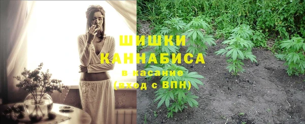 меф Няндома