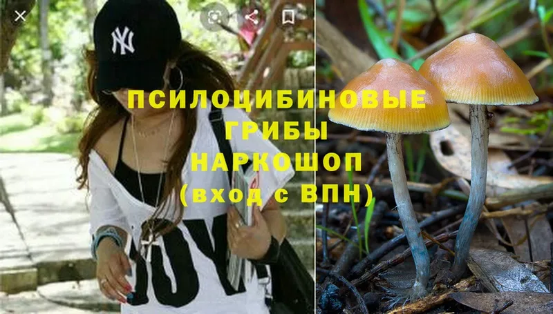 Галлюциногенные грибы MAGIC MUSHROOMS  kraken ссылки  Колпашево 