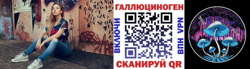 omg зеркало  купить закладку  Колпашево  Псилоцибиновые грибы Psilocybine cubensis 